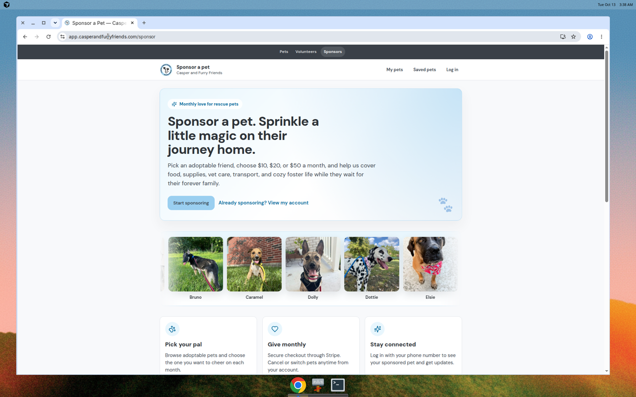 Casper and Furry Friends monthly pet sponsorship page