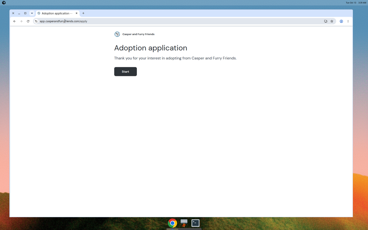 Online adoption application intro for Casper and Furry Friends